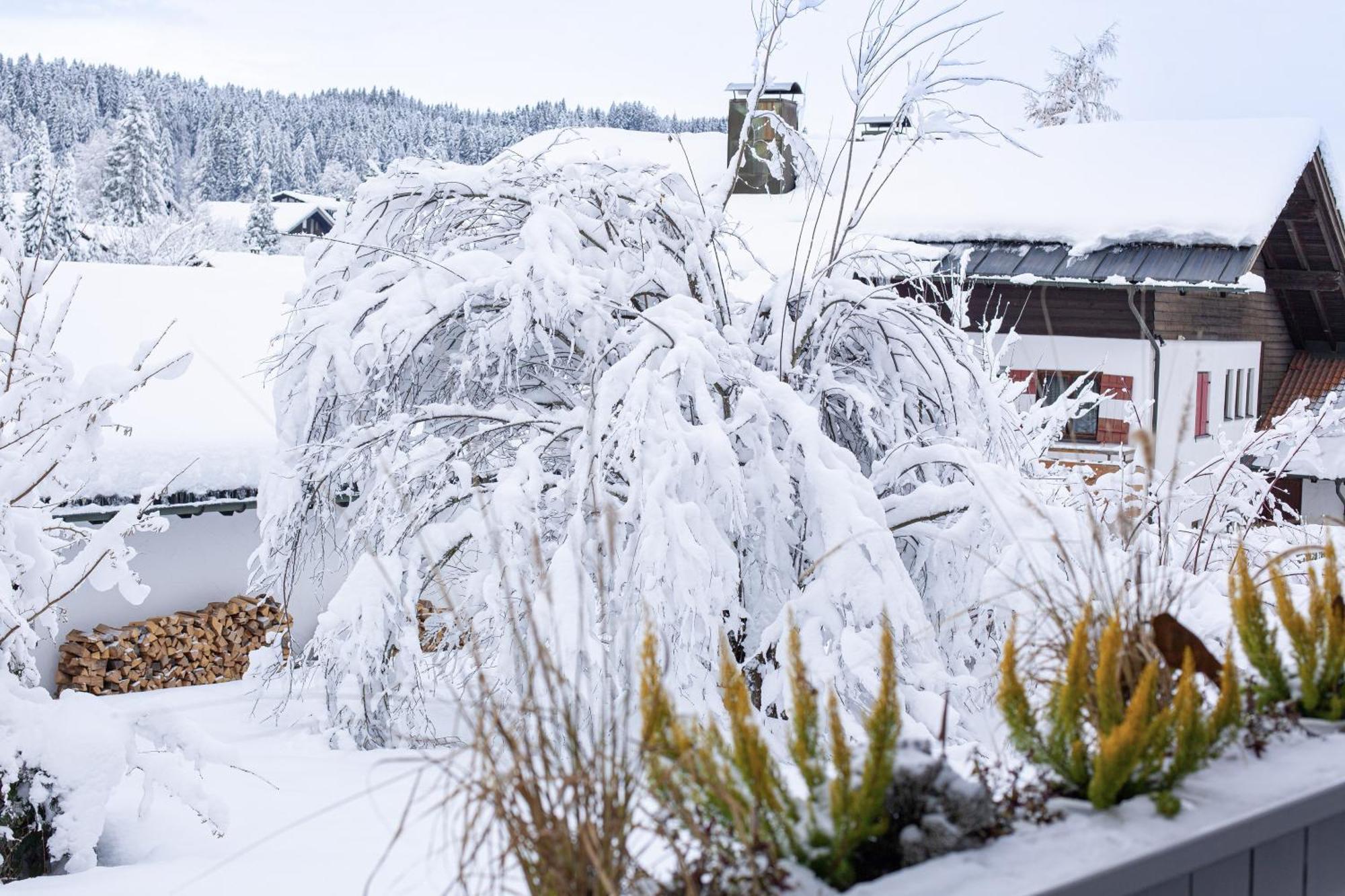 Alpen Art Chalet Apartment Oberstaufen Exterior photo